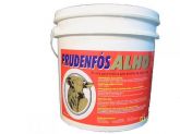 PRUDENFÓS ALHO 10KG