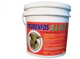 PRUDENFÓS ALHO 10KG
